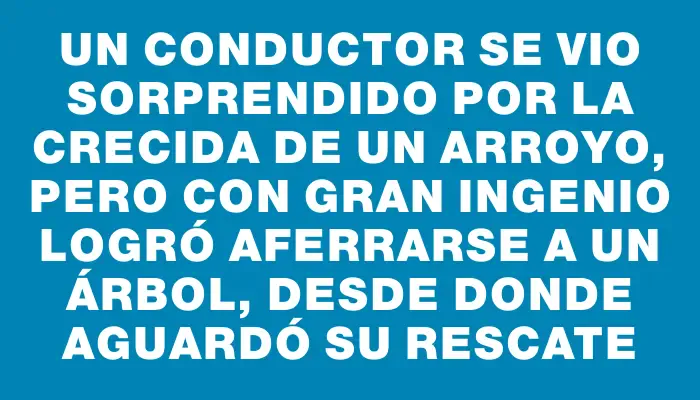 Un conductor se vio sorprendido por la crecida de un arroyo, pero con gran ingenio logró aferrarse a un árbol, desde donde aguardó su rescate