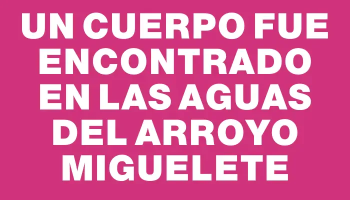 Un cuerpo fue encontrado en las aguas del arroyo Miguelete