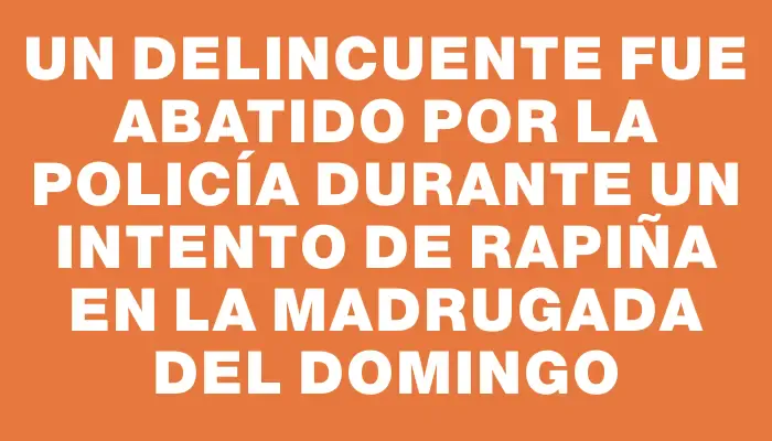 Un delincuente fue abatido por la policía durante un intento de rapiña en la madrugada del domingo