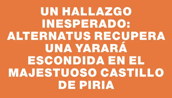 Un hallazgo inesperado: Alternatus recupera una yarará escondida en el majestuoso Castillo de Piria