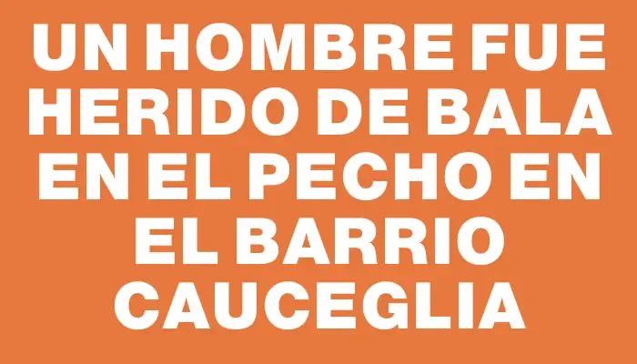 Un hombre fue herido de bala en el pecho en el barrio Cauceglia