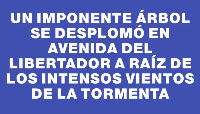 Un imponente árbol se desplomó en Avenida del Libertador a raíz de los intensos vientos de la tormenta