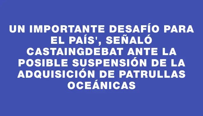 Un importante desafío para el país", señaló Castaingdebat ante la posible suspensión de la adquisición de patrullas oceánicas