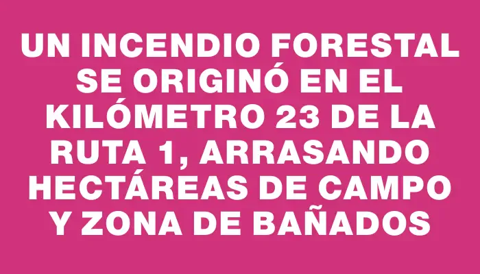 Un incendio forestal se originó en el kilómetro 23 de la ruta 1, arrasando hectáreas de campo y zona de bañados