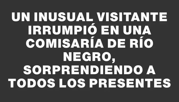 Un inusual visitante irrumpió en una comisaría de Río Negro, sorprendiendo a todos los presentes