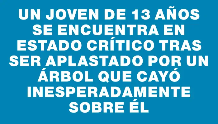 Un joven de 13 años se encuentra en estado crítico tras ser aplastado por un árbol que cayó inesperadamente sobre él