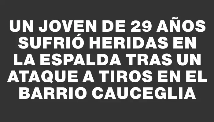 Un joven de 29 años sufrió heridas en la espalda tras un ataque a tiros en el barrio Cauceglia