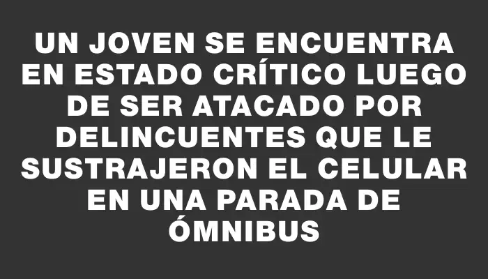 Un joven se encuentra en estado crítico luego de ser atacado por delincuentes que le sustrajeron el celular en una parada de ómnibus