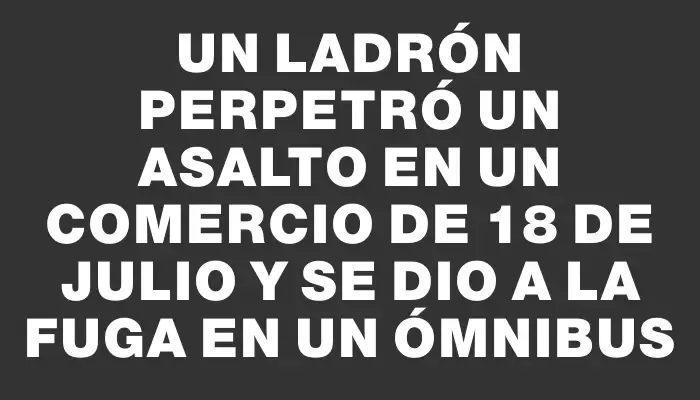 Un ladrón perpetró un asalto en un comercio de 18 de Julio y se dio a la fuga en un ómnibus