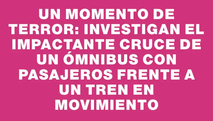 Un momento de terror: investigan el impactante cruce de un ómnibus con pasajeros frente a un tren en movimiento