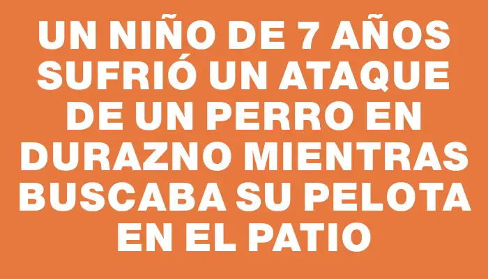 Un niño de 7 años sufrió un ataque de un perro en Durazno mientras buscaba su pelota en el patio