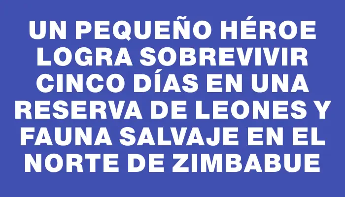 Un pequeño héroe logra sobrevivir cinco días en una reserva de leones y fauna salvaje en el norte de Zimbabue