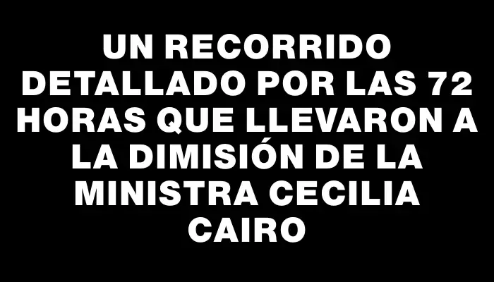 Un recorrido detallado por las 72 horas que llevaron a la dimisión de la ministra Cecilia Cairo
