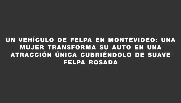 Un vehículo de felpa en Montevideo: una mujer transforma su auto en una atracción única cubriéndolo de suave felpa rosada