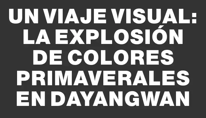 Un viaje visual: La explosión de colores primaverales en Dayangwan