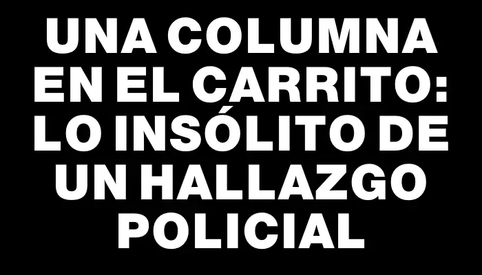 Una columna en el carrito: lo insólito de un hallazgo policial