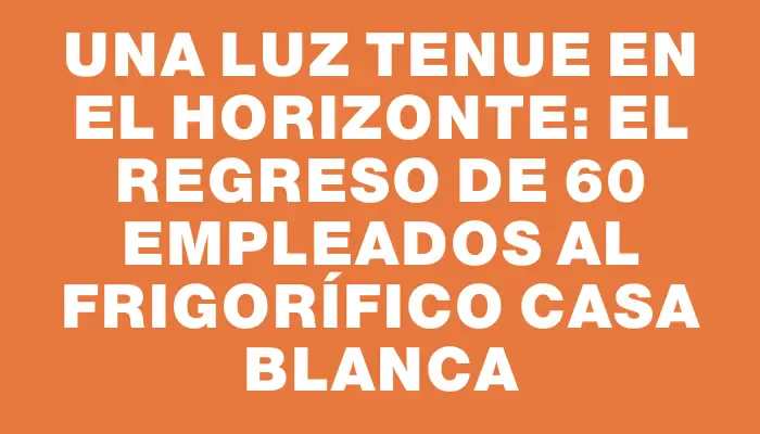 Una luz tenue en el horizonte: el regreso de 60 empleados al frigorífico Casa Blanca