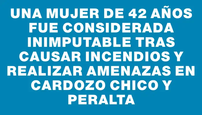 Una mujer de 42 años fue considerada inimputable tras causar incendios y realizar amenazas en Cardozo Chico y Peralta
