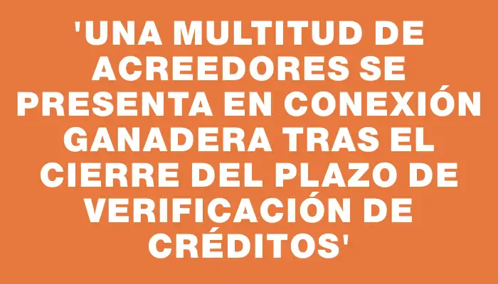 “Una multitud de acreedores se presenta en Conexión Ganadera tras el cierre del plazo de verificación de créditos”
