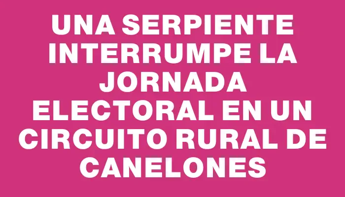 Una serpiente interrumpe la jornada electoral en un circuito rural de Canelones