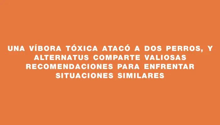 Una víbora tóxica atacó a dos perros, y Alternatus comparte valiosas recomendaciones para enfrentar situaciones similares