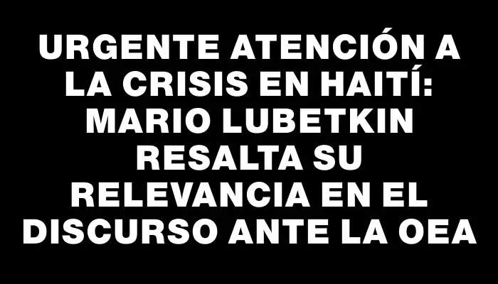 Urgente atención a la crisis en Haití: Mario Lubetkin resalta su relevancia en el discurso ante la Oea