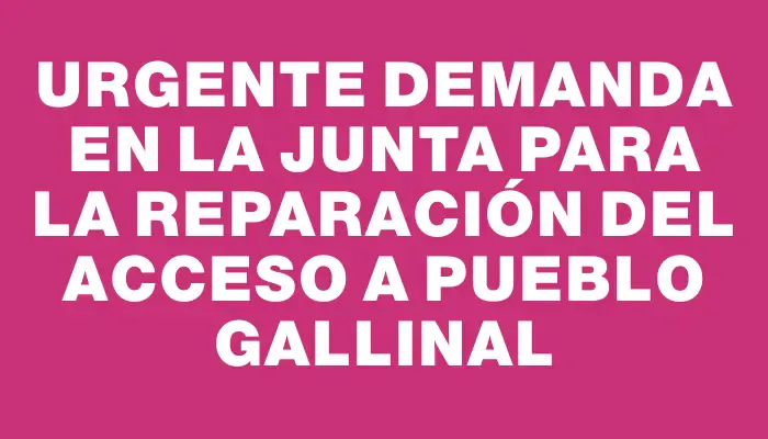 Urgente demanda en la Junta para la reparación del acceso a pueblo Gallinal