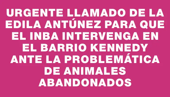 Urgente llamado de la edila Antúnez para que el Inba intervenga en el barrio Kennedy ante la problemática de animales abandonados