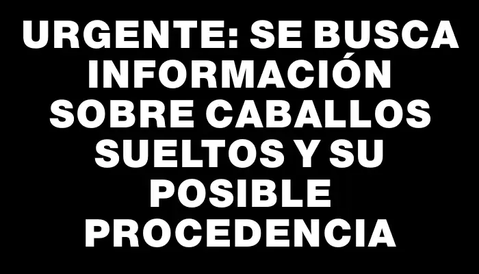 Urgente: Se busca información sobre caballos sueltos y su posible procedencia