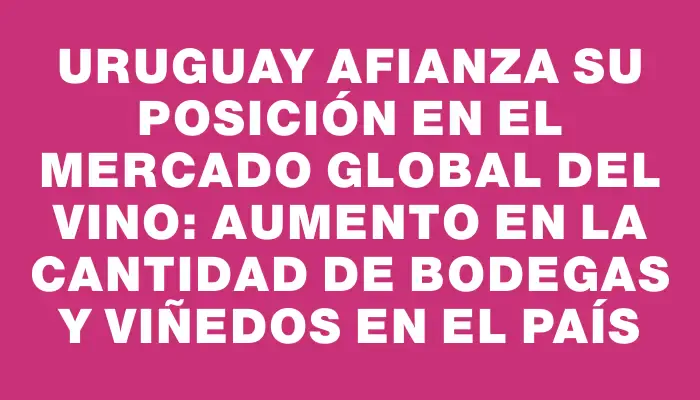 Uruguay afianza su posición en el mercado global del vino: Aumento en la cantidad de bodegas y viñedos en el país