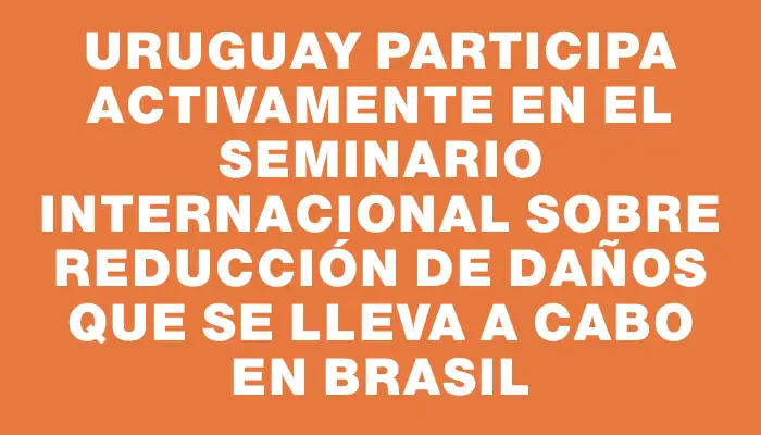 Uruguay participa activamente en el Seminario Internacional sobre Reducción de Daños que se lleva a cabo en Brasil