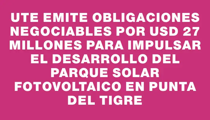 Ute emite obligaciones negociables por Usd 27 millones para impulsar el desarrollo del parque solar fotovoltaico en Punta del Tigre