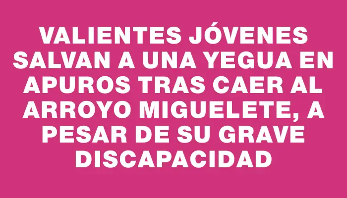 Valientes jóvenes salvan a una yegua en apuros tras caer al arroyo Miguelete, a pesar de su grave discapacidad