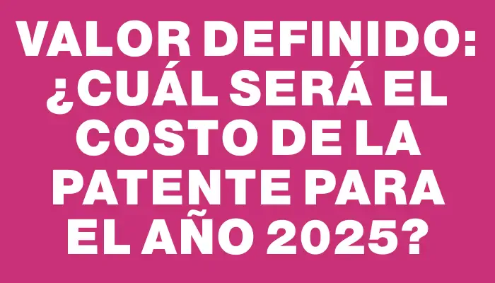 Valor definido: ¿Cuál será el costo de la patente para el año 2025?