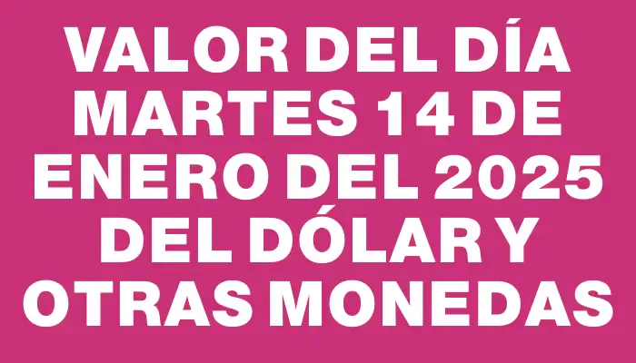 Valor del día Martes 14 de enero del 2025 del dólar y otras monedas