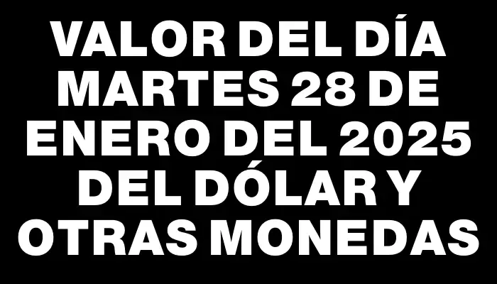 Valor del día Martes 28 de enero del 2025 del dólar y otras monedas