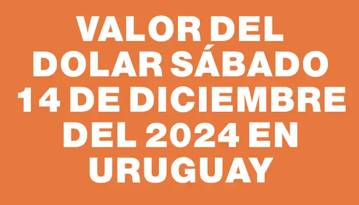 Valor del dolar Sábado 14 de diciembre del 2024 en Uruguay