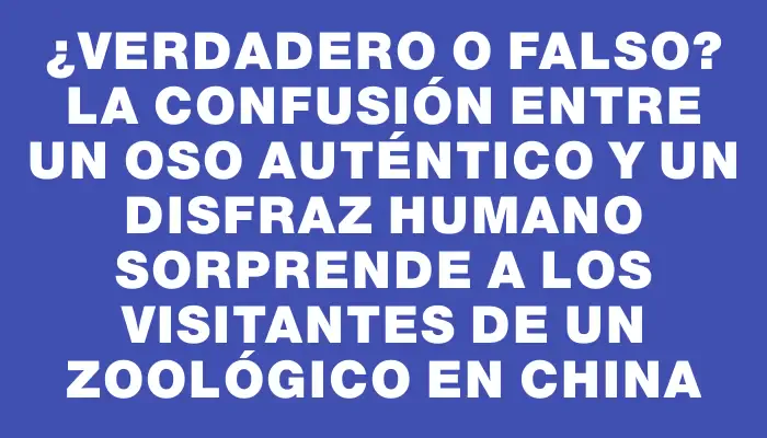 ¿Verdadero o falso? La confusión entre un oso auténtico y un disfraz humano sorprende a los visitantes de un zoológico en China