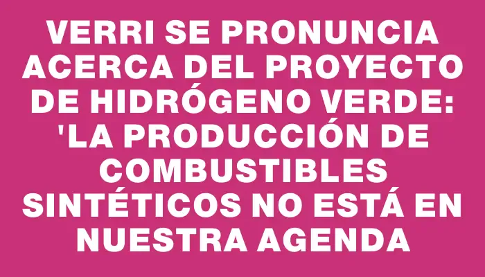 Verri se pronuncia acerca del proyecto de hidrógeno verde: "La producción de combustibles sintéticos no está en nuestra agenda