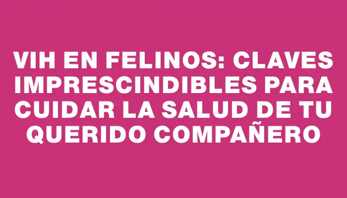 Vih en felinos: Claves imprescindibles para cuidar la salud de tu querido compañero