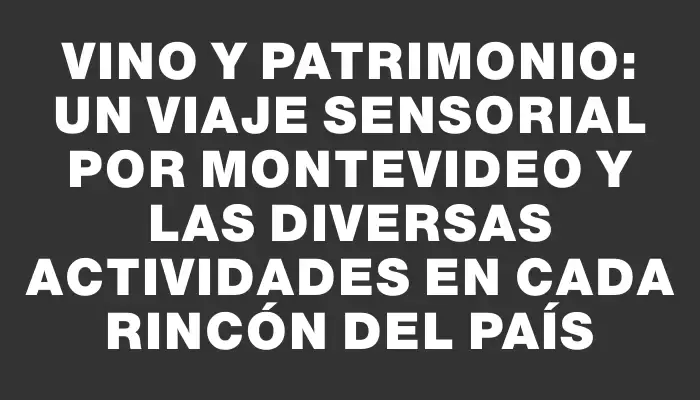 Vino y patrimonio: un viaje sensorial por Montevideo y las diversas actividades en cada rincón del país