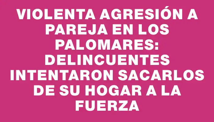 Violenta agresión a pareja en Los Palomares: delincuentes intentaron sacarlos de su hogar a la fuerza