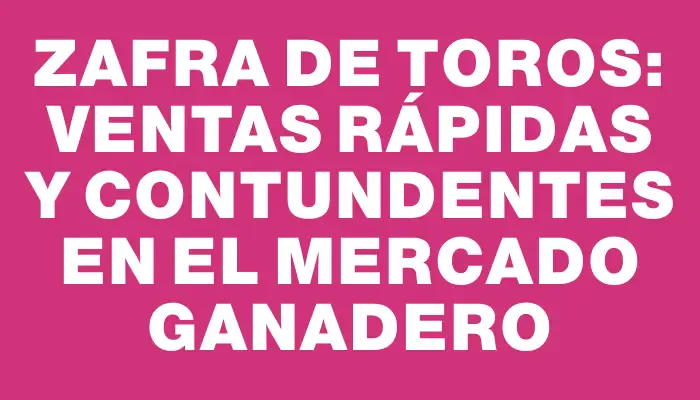 Zafra de toros: Ventas rápidas y contundentes en el mercado ganadero