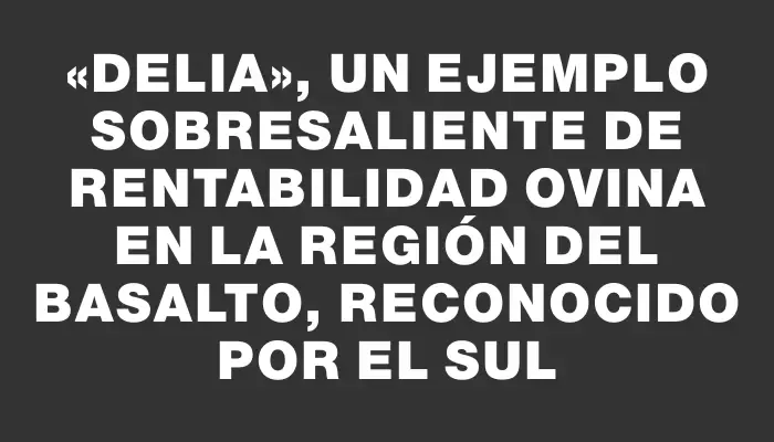 «Delia», un ejemplo sobresaliente de rentabilidad ovina en la región del Basalto, reconocido por el Sul