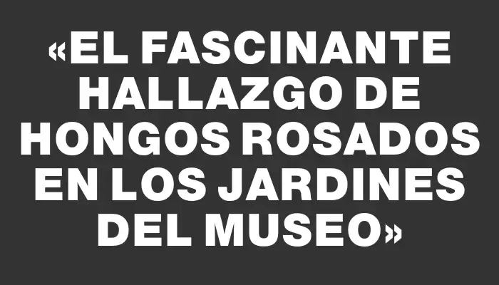 «El fascinante hallazgo de hongos rosados en los jardines del museo»